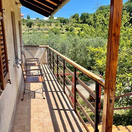 Apartment Olive Grove Izola Εξωτερικό φωτογραφία